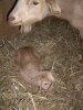 [Gilly's new kid Samuel]