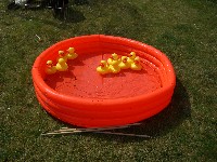[Hook a Duck]