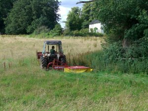 [Mowing grass]