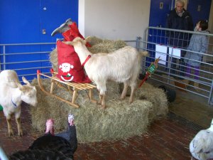 [What's in Santa's sack?]